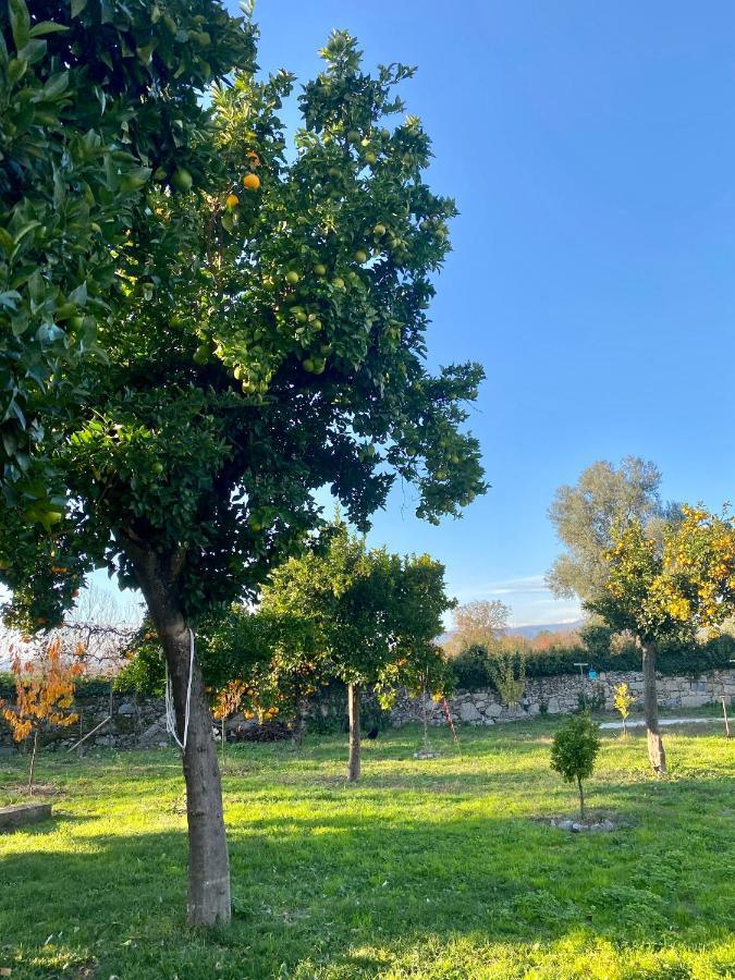 Bed and Breakfast Quinta De Areias Crespos Екстер'єр фото