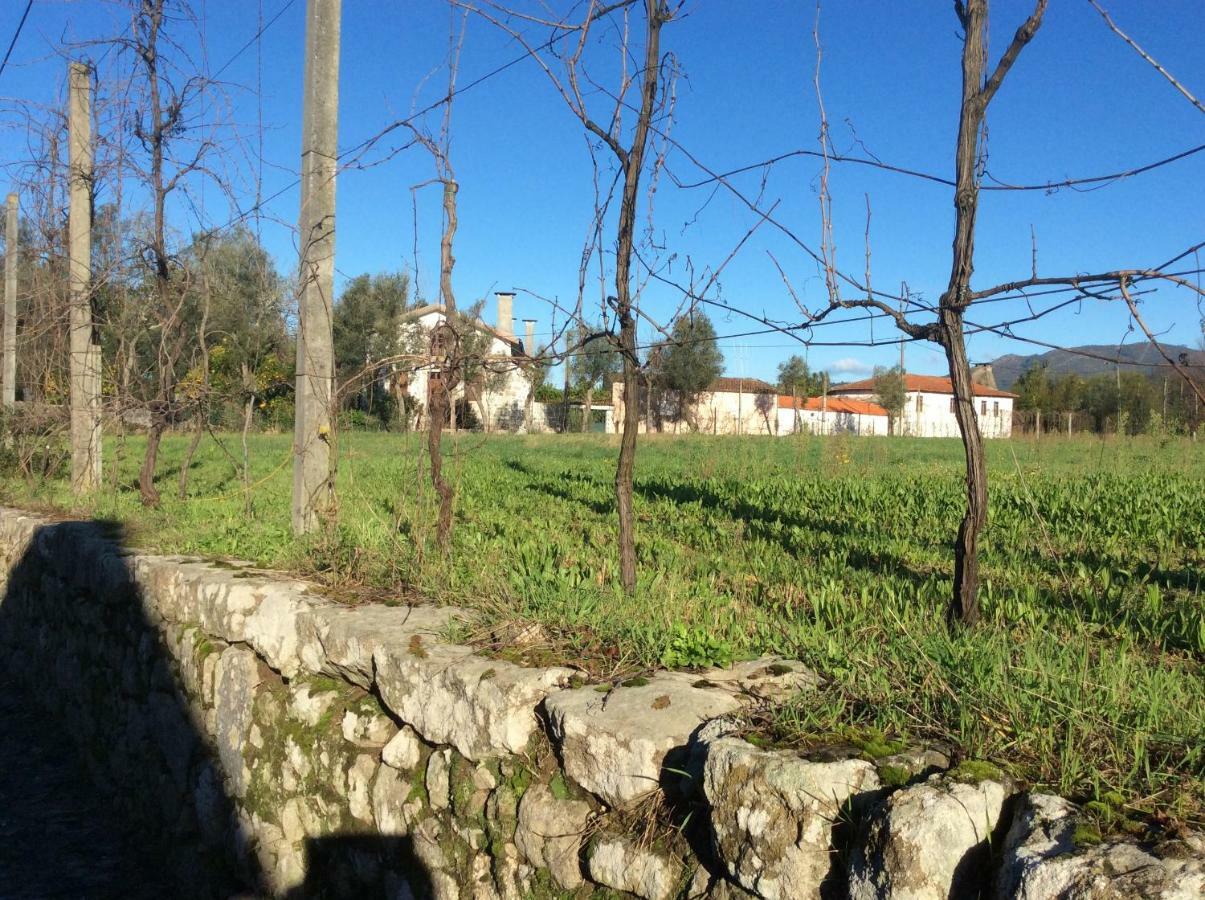 Bed and Breakfast Quinta De Areias Crespos Екстер'єр фото